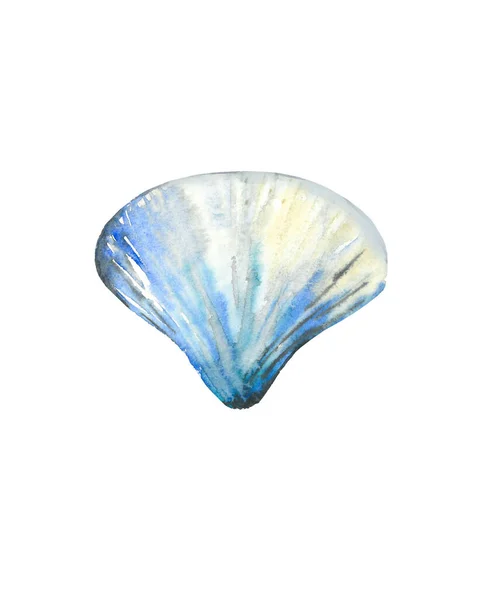 Scallop seashell. Sea creature. Ocean life. Blue watercolour illustration isolated on white background. — Stock Photo, Image