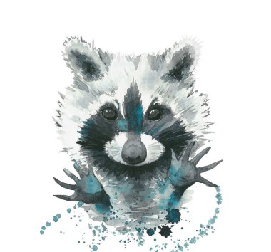 Raccoon. Abstract animal portrait. Watercolour illustration on white background. clipart