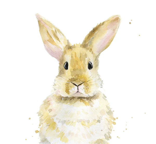 Lapin rouge. Portrait d'animal. Illustration aquarelle sur fond blanc . — Photo