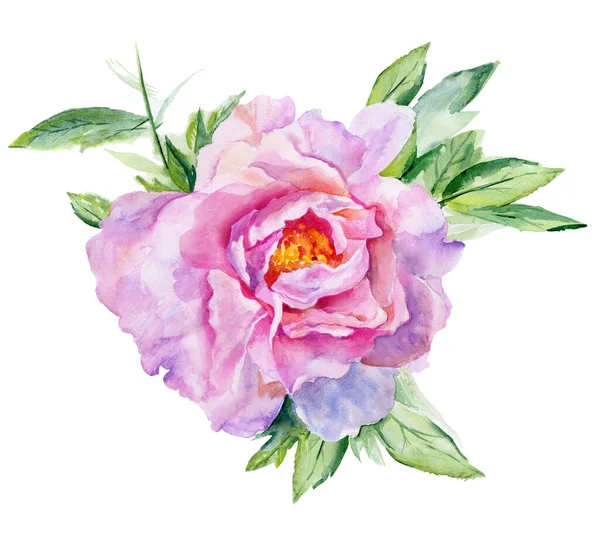 Roze pioenroos. Bloemen detail voor kaart, ansichtkaart, bruiloft uitnodiging, begroeting, patroon. Aquarelillustratie op witte achtergrond. — Stockfoto