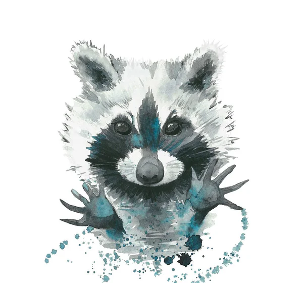 Raccoon. Abstract animal portrait. Watercolour illustration on white background. — Stock Photo, Image