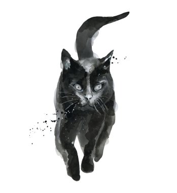 Yürüyen kara kedi. Hayvan herif. Suluboya çizimi beyaz arkaplanda izole edildi.
