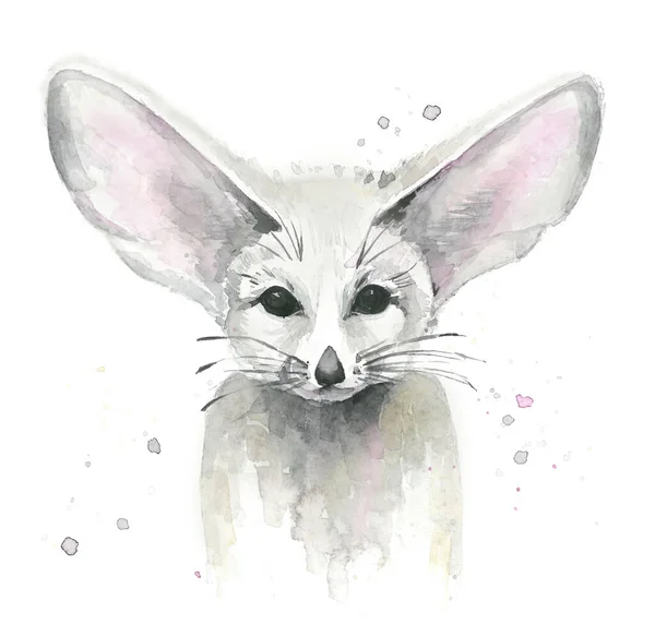 Fennec Fox. Hayvan portresi. Suluboya çizimi beyaz arkaplanda izole edildi. — Stok fotoğraf