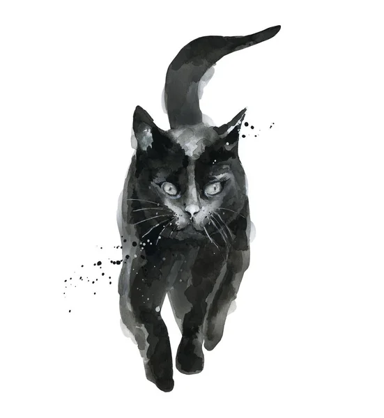 Chodzący czarny kot. Zwierzę. Ilustracja akwarela izolowana na białym tle. — Zdjęcie stockowe