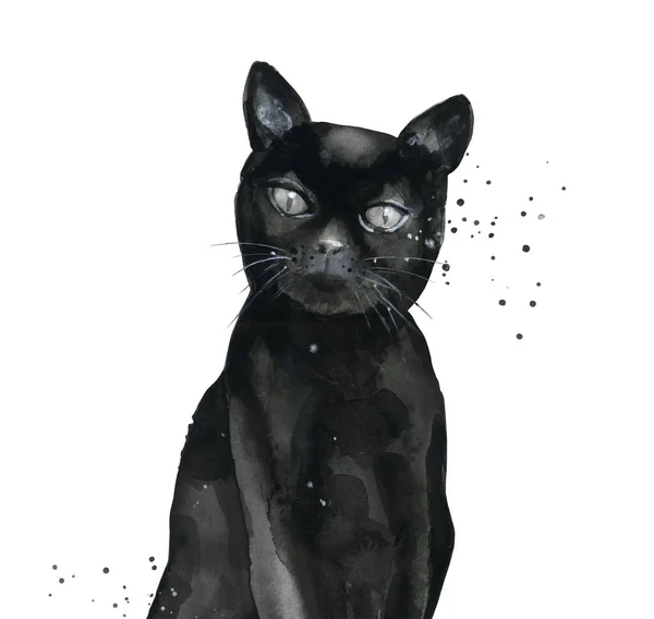 Black kitten. Animal portrait. Watercolour illustration isolated on white background. — Stock Photo, Image