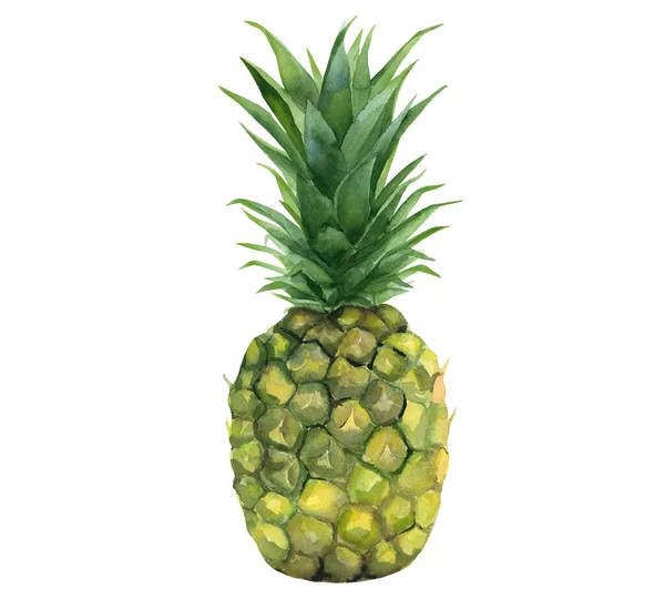 Ananas. Tropické ovoce. Akvarelové ilustrace izolované na bílém pozadí. — Stock fotografie