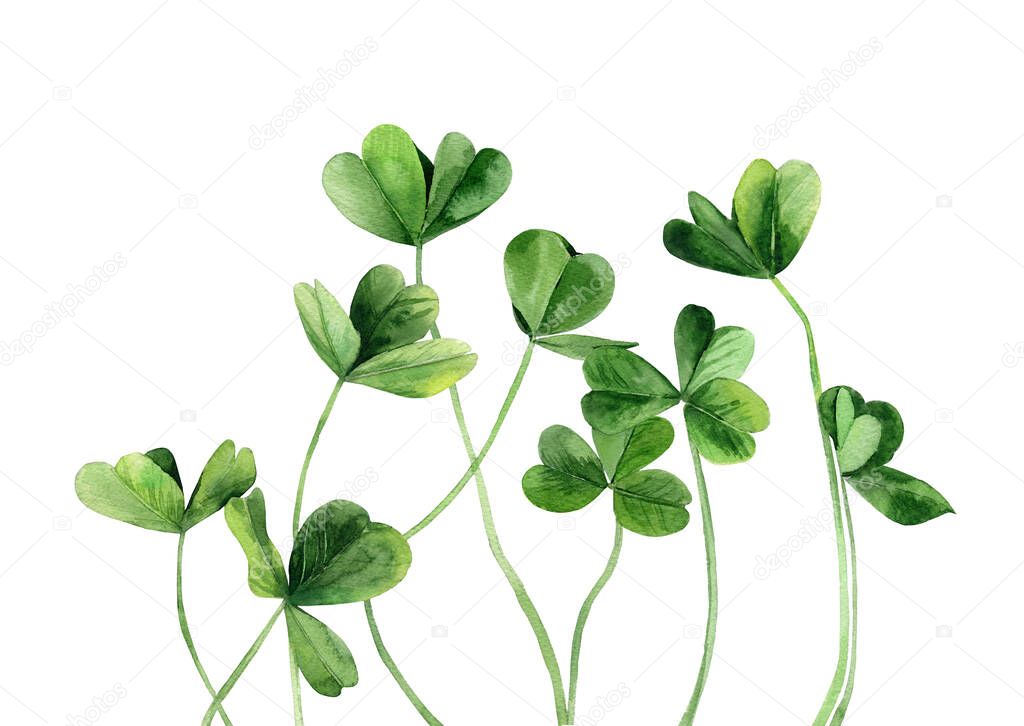 Green clover leaves. Plant stems. Detail for card, postcard, wedding invitation, greeting, pattern. Watercolour illustration on white background.