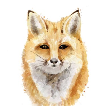 Kızıl Tilki. Orman hayvanı portresi. Suluboya çizimi beyaz arkaplanda izole edildi.
