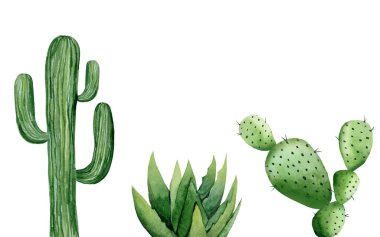 Saguaro kaktüsü. Aloe Vera. Yeşil boyalı bitkiler. Minimalist sanat seti. Kart, kartpostal, düğün davetiyesi, selamlama, şablon detayları. Suluboya çizimi beyaz arkaplanda izole edildi.