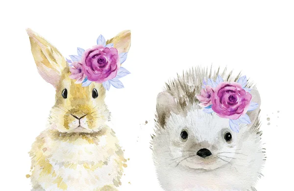Животные с цветами на головах. Кролик. Ежик. Иллюстрация акварелью на белом фоне . — стоковое фото