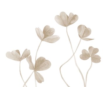 Pastel bitki yaprakları. Yonca sapları. Kart, kartpostal, düğün davetiyesi, selamlama, şablon detayları. Suluboya çizimi beyaz arkaplanda izole edildi.