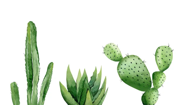 Desert plant set. Green cactuses. Watercolour illustration isolated on white background. — Stock Photo, Image