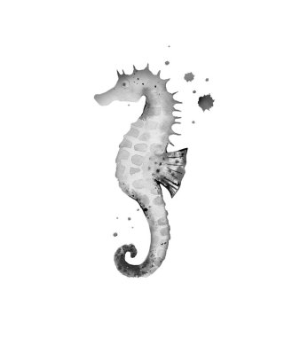 Denizyıldızı. Deniz yaratığı. Okyanus hayatı. Suluboya çizimi beyaz arkaplanda izole edildi.