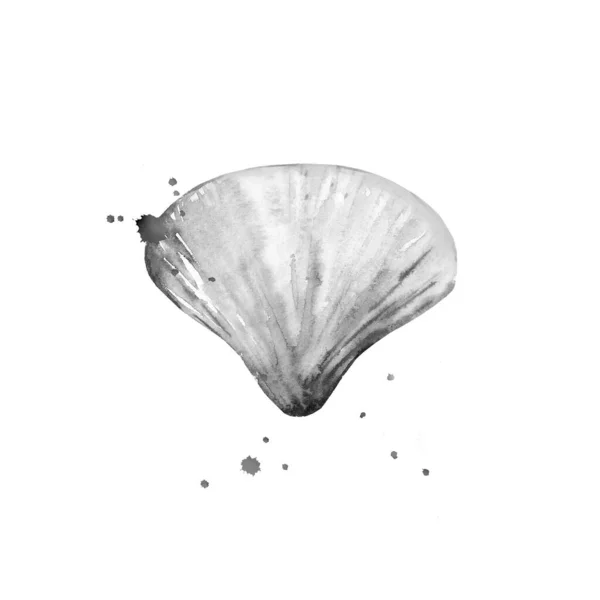 Conchiglia con macchie di acquerello. Creatura marina. Illustrazione monocromatica isolata su sfondo bianco . — Foto Stock