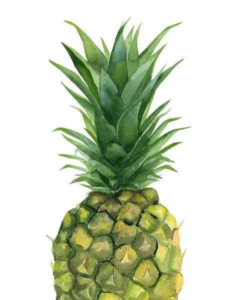 Ananas. Tropické ovoce. Akvarel ilustrace na bílém pozadí. — Stock fotografie