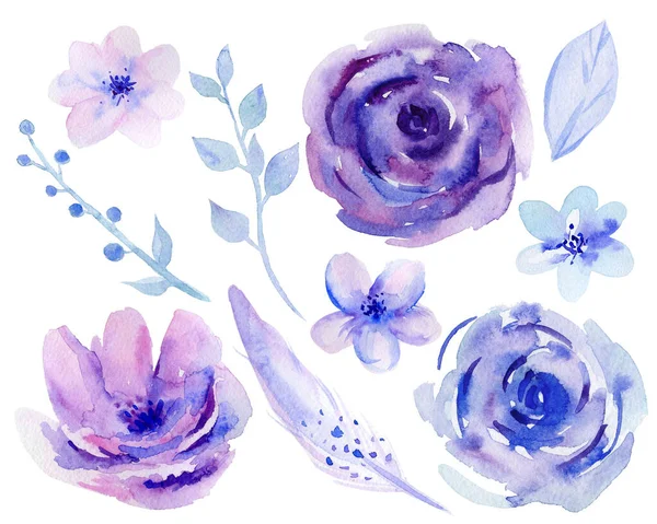 Paarse aquarel bloemen en bladeren. Violette bloemenset. Ontwerpen voor bruiloft uitnodiging, begroeting, poster, postkaart, kaart. Botanische illustratie op witte achtergrond. — Stockfoto