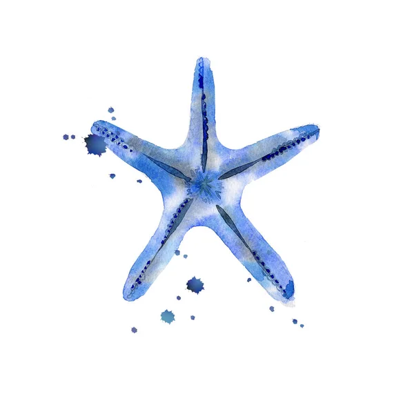 สตาร์ฟิชสีฟ้าที่มีจุดสี สัตว์ทะเลในฤดูร้อน ออกแบบสําหรับรูปแบบโปสเตอร์ในสไตล์ทะเลสิ่งทอ ภาพวาดสีน้ําที่แยกจากพื้นหลังสีขาว . — ภาพถ่ายสต็อก