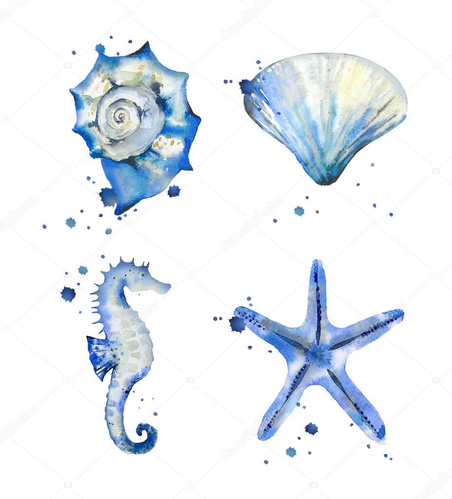 Sea shell and under water objects. Ocean creatures set. Watercolor illustration isolated on white background.