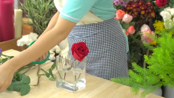 Close up shot of florist woman arranging beautiful roses in a glass vase — Stock Video