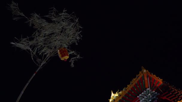 在神社的仪式中，用中国灯笼装饰的树枝 — 图库视频影像
