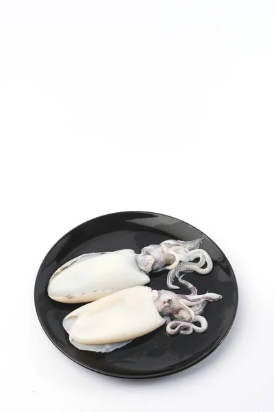 Fresh Splendid Squid Sea Food — Stock Photo, Image