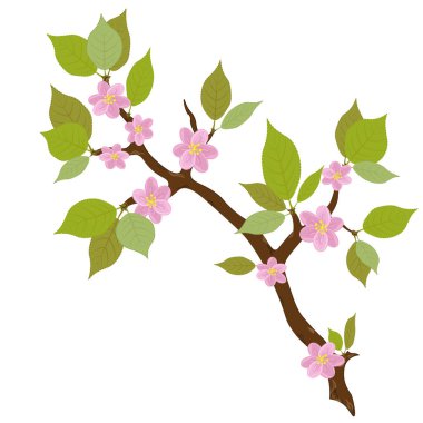 Pembe narin çiçekleri ve yaprakları olan ağaç dalı