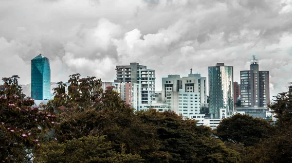 buildings in cloudy city with trees in front