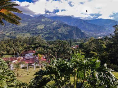 Kolombiya 'da yeşil ve kahve manzarası ve arkasında dağlar var.