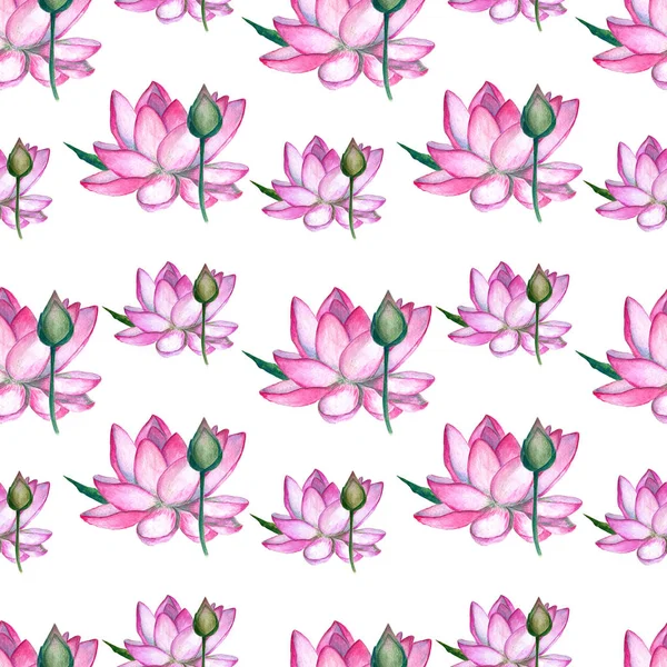 Aquarel Roze Lotus Bloemen Met Knoppen Witte Achtergrond Handtekening Naadloos — Stockfoto