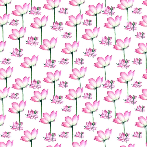 白い背景に蕾を持つ水彩ピンクの蓮の花 手描き シームレスなパターン — ストック写真