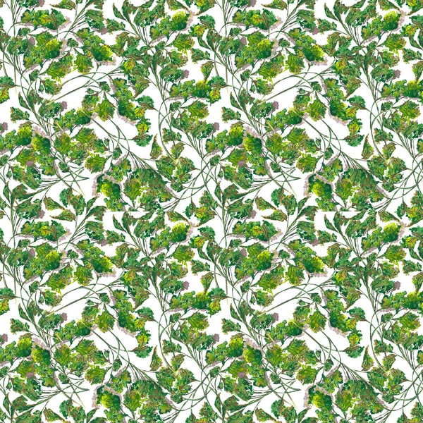 Seamless Watercolor Pattern Green Branches Parsley Cilantro White Background — Stock Photo, Image