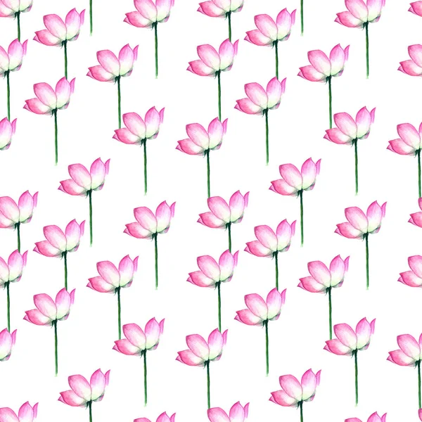 Fiori Loto Rosa Acquerello Con Boccioli Sfondo Bianco Disegno Mano — Foto Stock