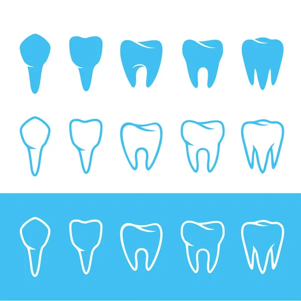 Menselijk gebit tanden — Stockvector