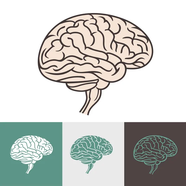 Cerveau humain esprit — Image vectorielle