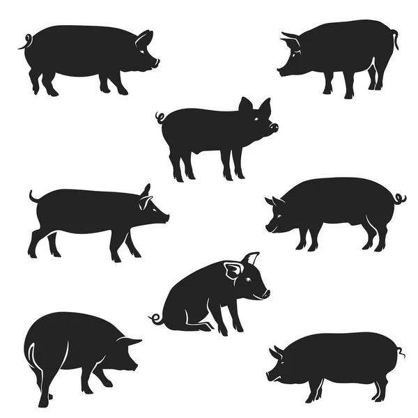 Silhuetas de qualidade Porcos Preto — Vetor de Stock