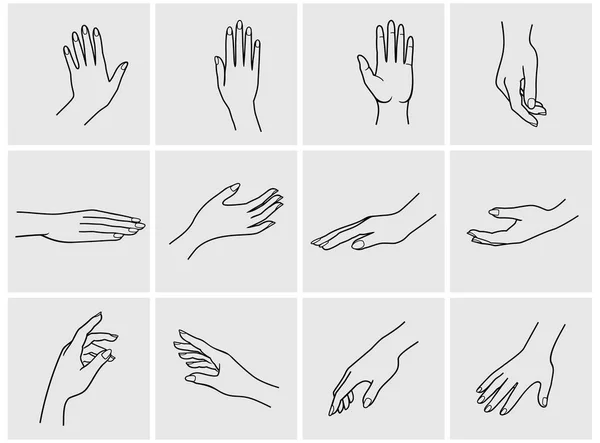 Hand Outline PNG, Vector, PSD, and Clipart With Transparent Background for  Free Download | Pngtree