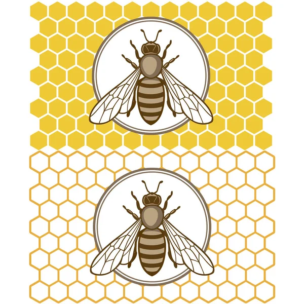 Honey bee set — Stock vektor