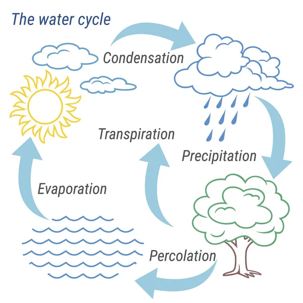 Линия водного цикла — стоковый вектор