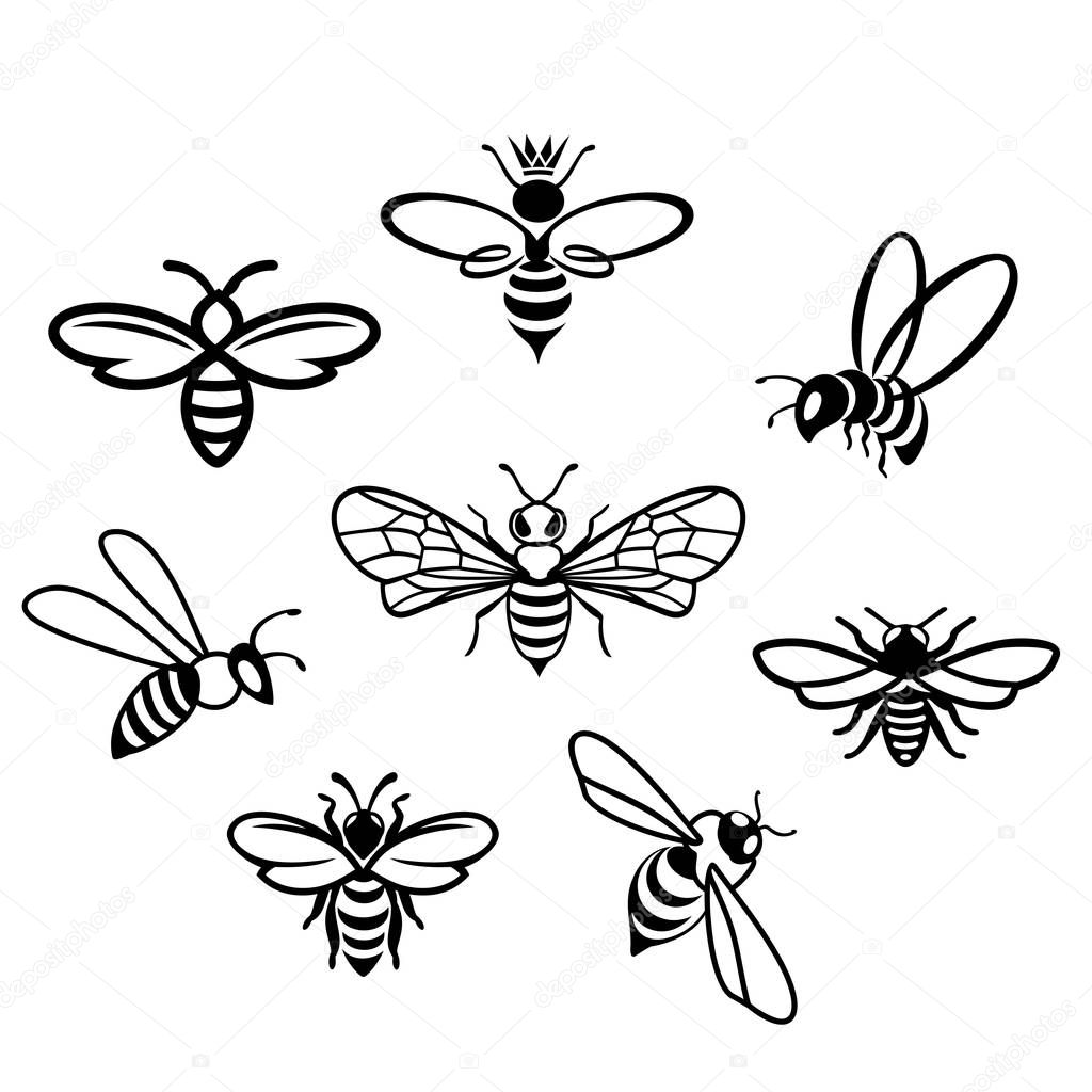 Honey Icons set