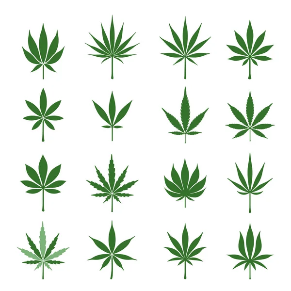 Hojas de cannabis verde — Archivo Imágenes Vectoriales