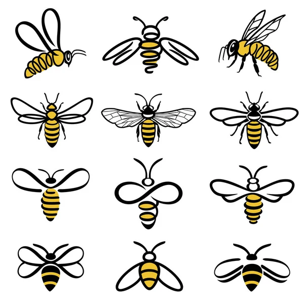 Set of creative bees — Stock Vector