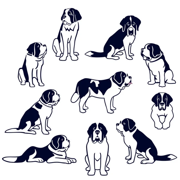 Σκυλιά του Αγίου Βερνάρδου — Διανυσματικό Αρχείο