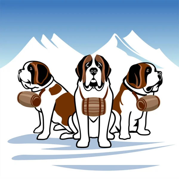 St. Bernards, Alpine rescue dogs — Stock Vector