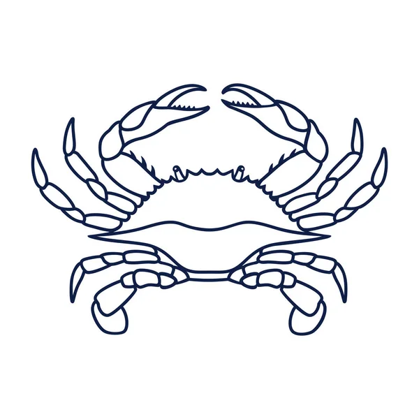 螃蟹的海军蓝颜色 蓝色螃蟹白色背景 矢量徽标的设计 符号或图标采用简单的平面样式 螃蟹的线画 矢量说明 — 图库矢量图片