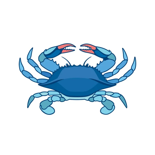 Crabe Bleu Sur Fond Blanc Dans Style Aquarelle Dessin Réaliste — Image vectorielle