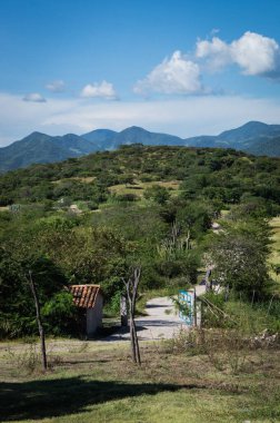 Hermosa vista del campo en primavera