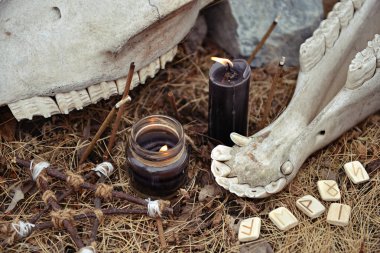 Old runes, black candles, pentagram and scary horse skull. Mystic background with ritual esoteric objects, occult and halloween concept
