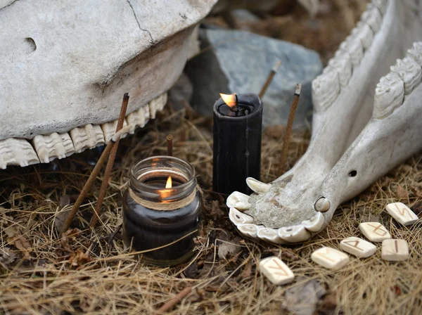 Close up of horse skull with teeth, ancient runes and burning black candles. Mystic background with ritual esoteric objects, occult and halloween concept
