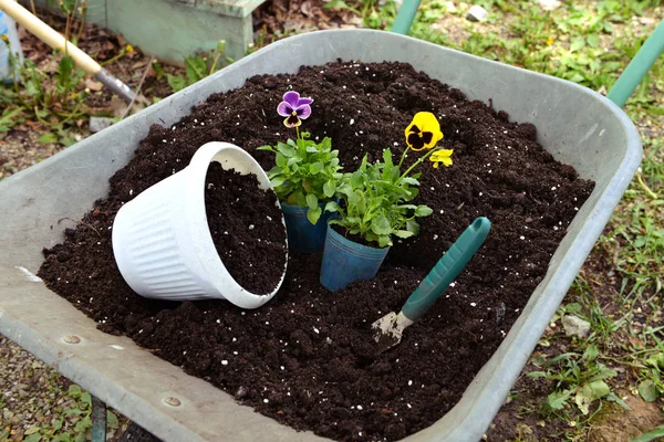 Working truck with soil, fertilizer, pot, flower sprouts and garden tool outside.