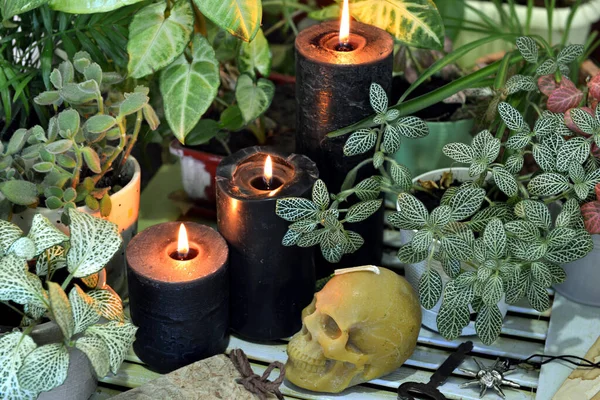 Three black candles with skull and witch herbs. Esoteric, wicca and occult background, fortune telling and divination ritual, mystic concept